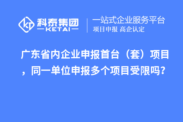 广东省内企业申报首台（套）项目，同一单位申报多个项目受限吗？