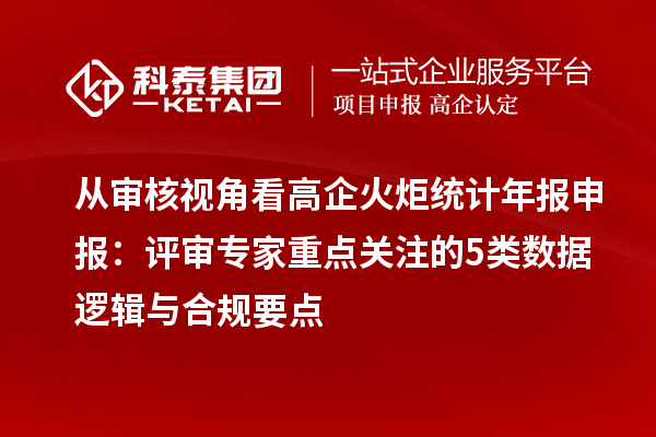 从审核视角看高企火炬统计年报申报：评审专家重点关注的5类数据逻辑与合规要点