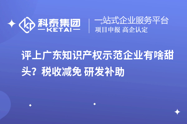 评上广东知识产权示范企业有啥甜头？税收减免+研发补助