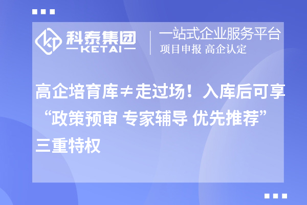 高企培育库≠走过场！入库后可享“政策预审+专家辅导+优先推荐”三重特权