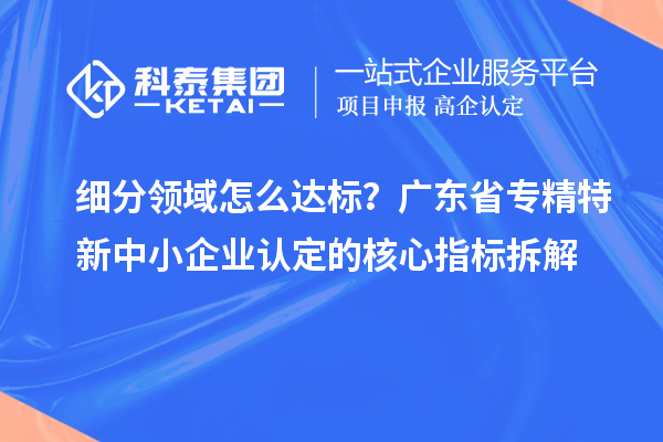 细分领域怎么达标？广东省专精特新中小企业认定的核心指标拆解