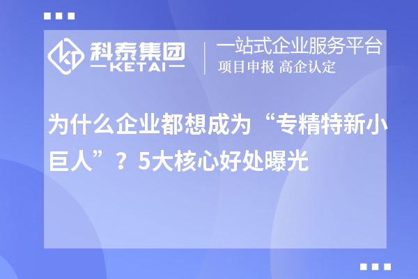为什么企业都想成为“专精特新小巨人”？5大核心好处曝光