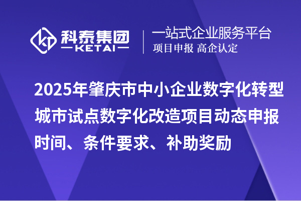 2025年肇庆市中小企业数字化转型城市试点数字化改造项目动态申报时间、条件要求、补助奖励