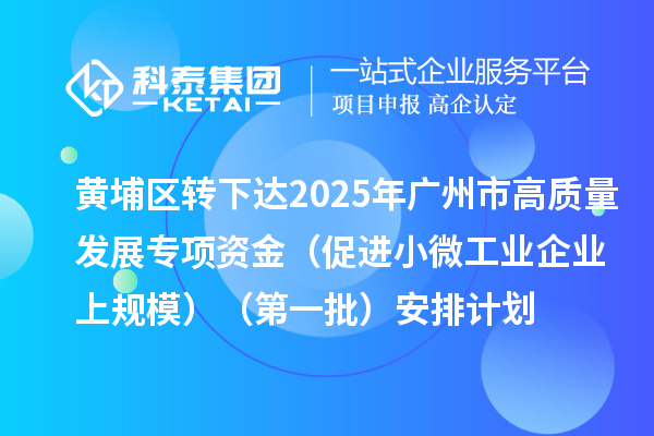 黄埔区转下达2025年广州市促进工业和信息化产业高质量发展专项资金（促进小微工业企业上规模）（第一批）安排计划