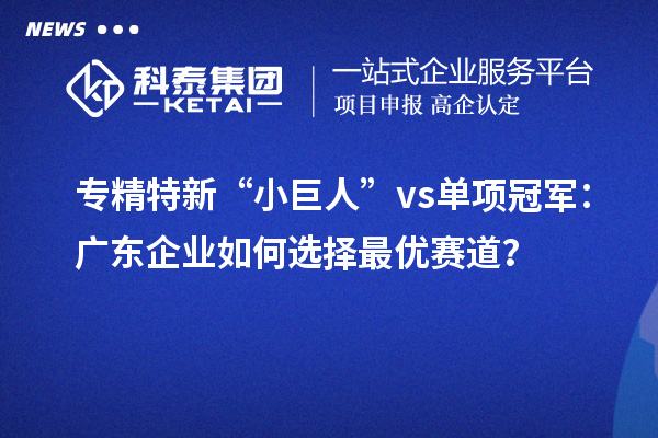 专精特新“小巨人” vs 单项冠军：广东企业如何选择最优赛道？