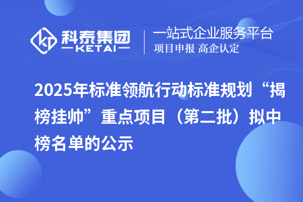 2025年标准领航行动标准规划“揭榜挂帅”重点项目（第二批）拟中榜名单的公示