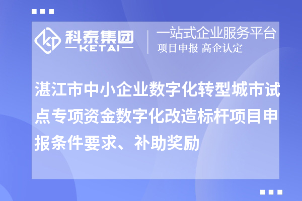 湛江市中小企业数字化转型城市试点专项资金数字化改造标杆项目申报条件要求、补助奖励