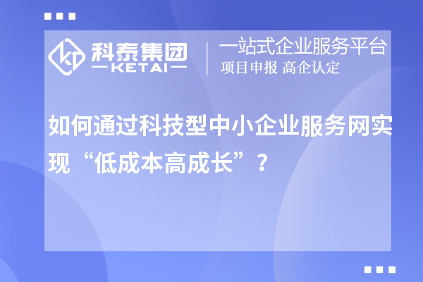 如何通过科技型中小企业服务网实现“低成本高成长”？