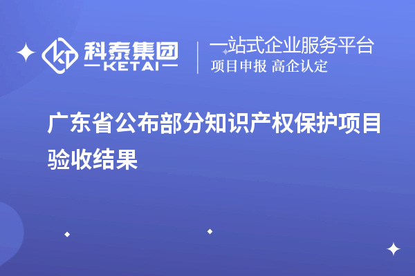 广东省公布部分知识产权保护项目验收结果