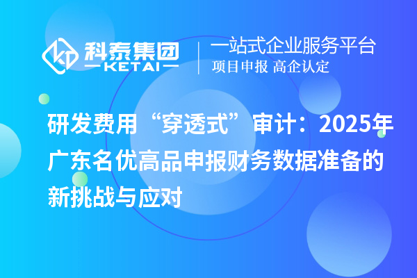 研发费用“穿透式”审计：2025年广东名优高品申报财务数据准备的新挑战与应对