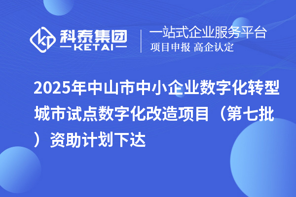 2025年中山市中小企业数字化转型城市试点数字化改造项目（第七批）资助计划下达