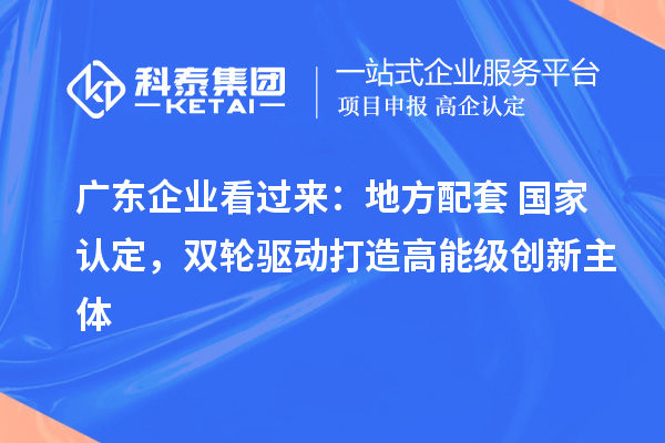 广东企业看过来：地方配套+国家认定，双轮驱动打造高能级创新主体