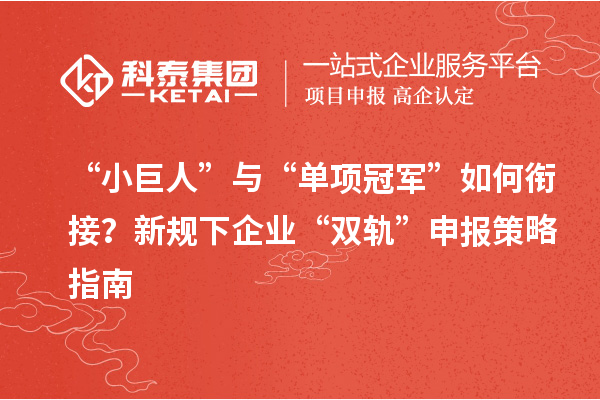 “小巨人”与“单项冠军”如何衔接？新规下企业“双轨”申报策略指南