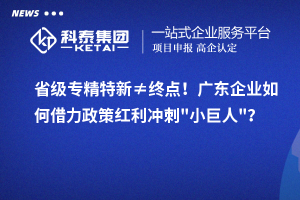 省级专精特新≠终点！广东企业如何借力政策红利冲刺小巨人？