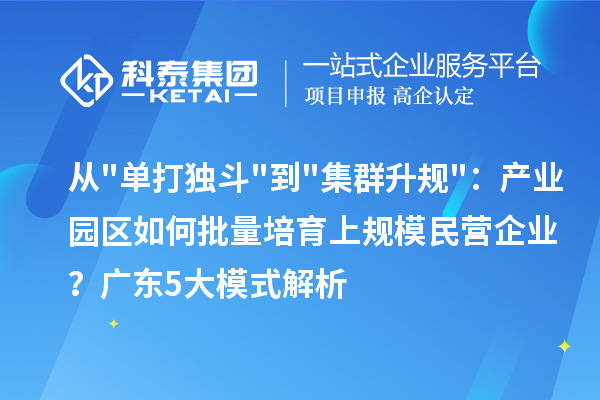 从单打独斗到集群升规：产业园区如何批量培育上规模民营企业？广东5大模式解析