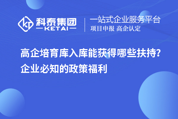 高企培育库入库能获得哪些扶持？企业必知的政策福利