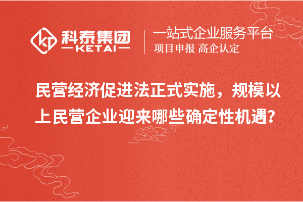 民营经济促进法正式实施，规模以上民营企业迎来哪些确定性机遇？