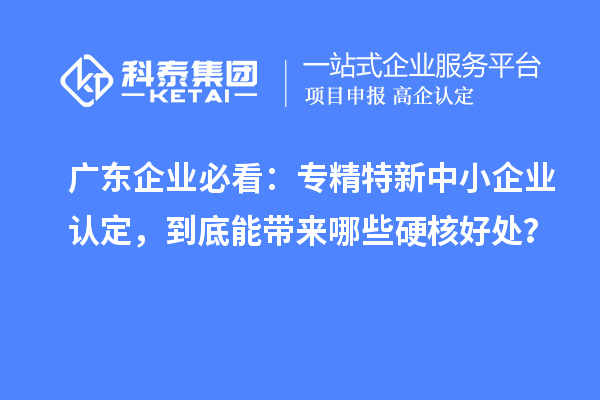 广东企业必看：专精特新中小企业认定，到底能带来哪些硬核好处？