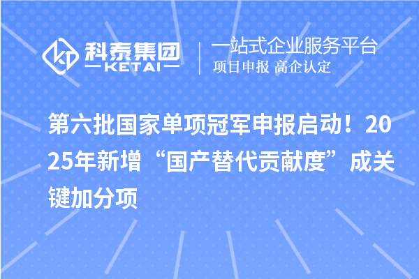 第六批国家单项冠军申报启动！2025年新增“国产替代贡献度”成关键加分项