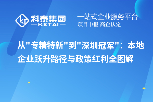 从专精特新到深圳冠军：本地企业跃升路径与政策红利全图解
