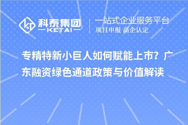  专精特新小巨人如何赋能上市？广东融资绿色通道政策与价值解读