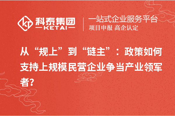 从“规上”到“链主”：政策如何支持上规模民营企业争当产业领军者？