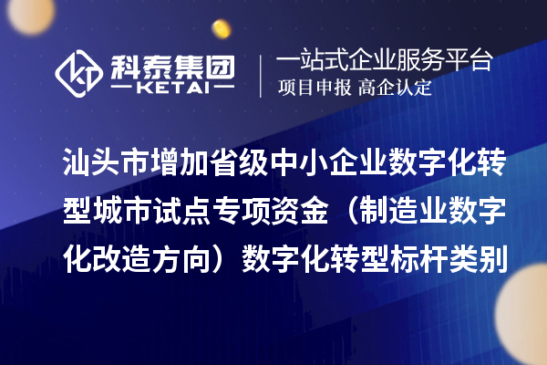 汕头市增加省级中小企业数字化转型城市试点专项资金（制造业数字化改造方向）数字化转型标杆类别项目数量