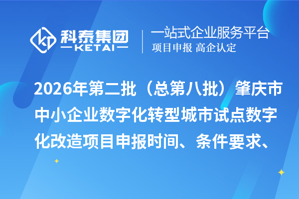 2026年第二批（总第八批）肇庆市中小企业数字化转型城市试点数字化改造项目申报时间、条件要求、补助奖励